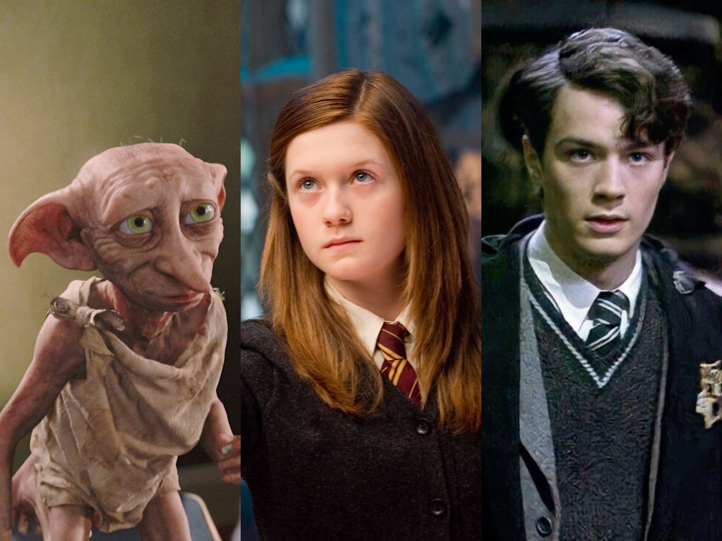 HBO confirma el elenco de Dobby, Ginny y Tom Riddle para su nueva serie de Harry Potter